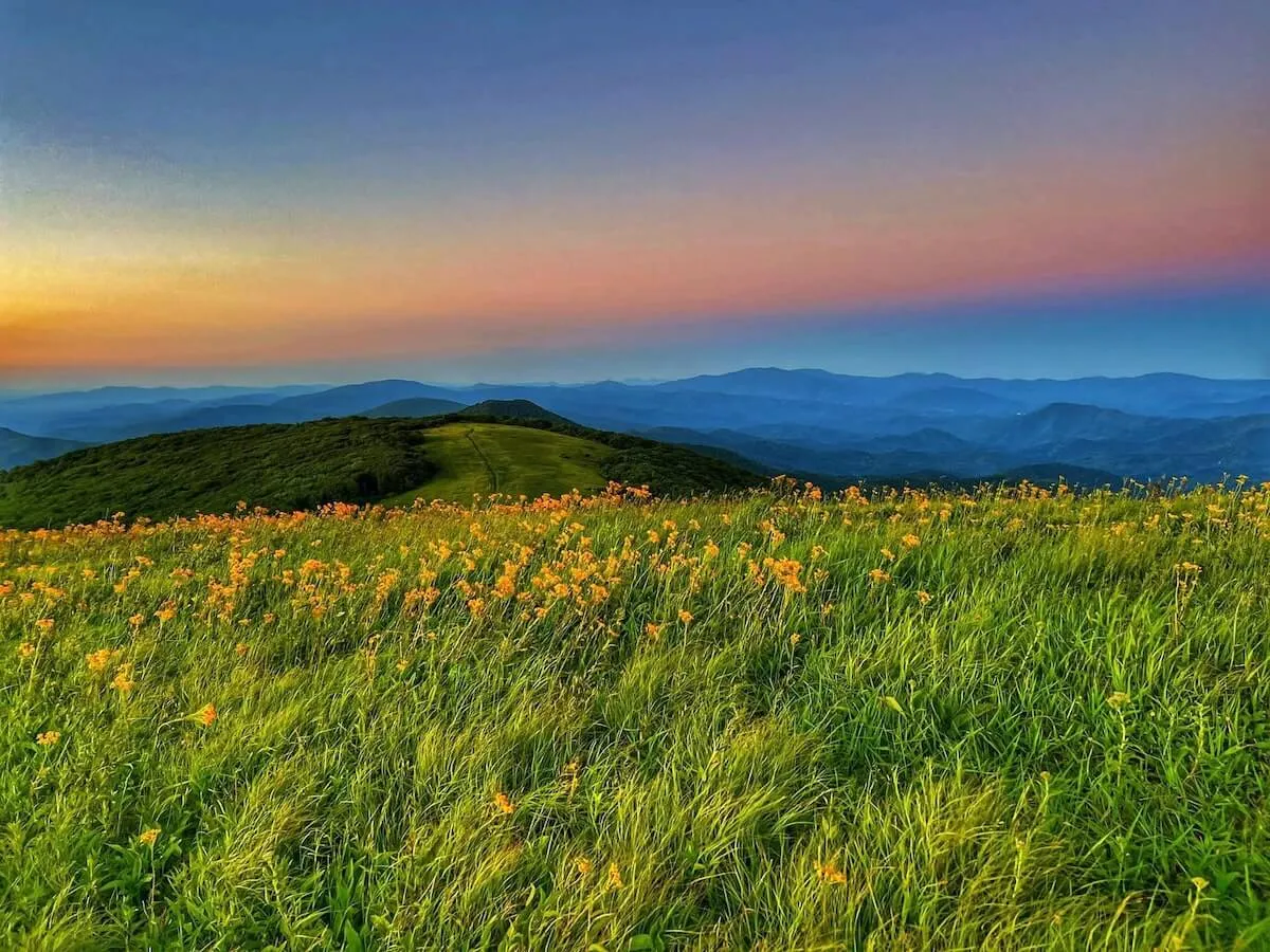 Rolling green hills dotted with vibrant wildflowers lead the eye towards distant mountains under a glowing sunset sky. The scene evokes the freedom of open spaces and the ever-changing light of the Blue Ridge landscape.